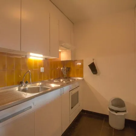 Mercure 205 Au Centre A * Anzere